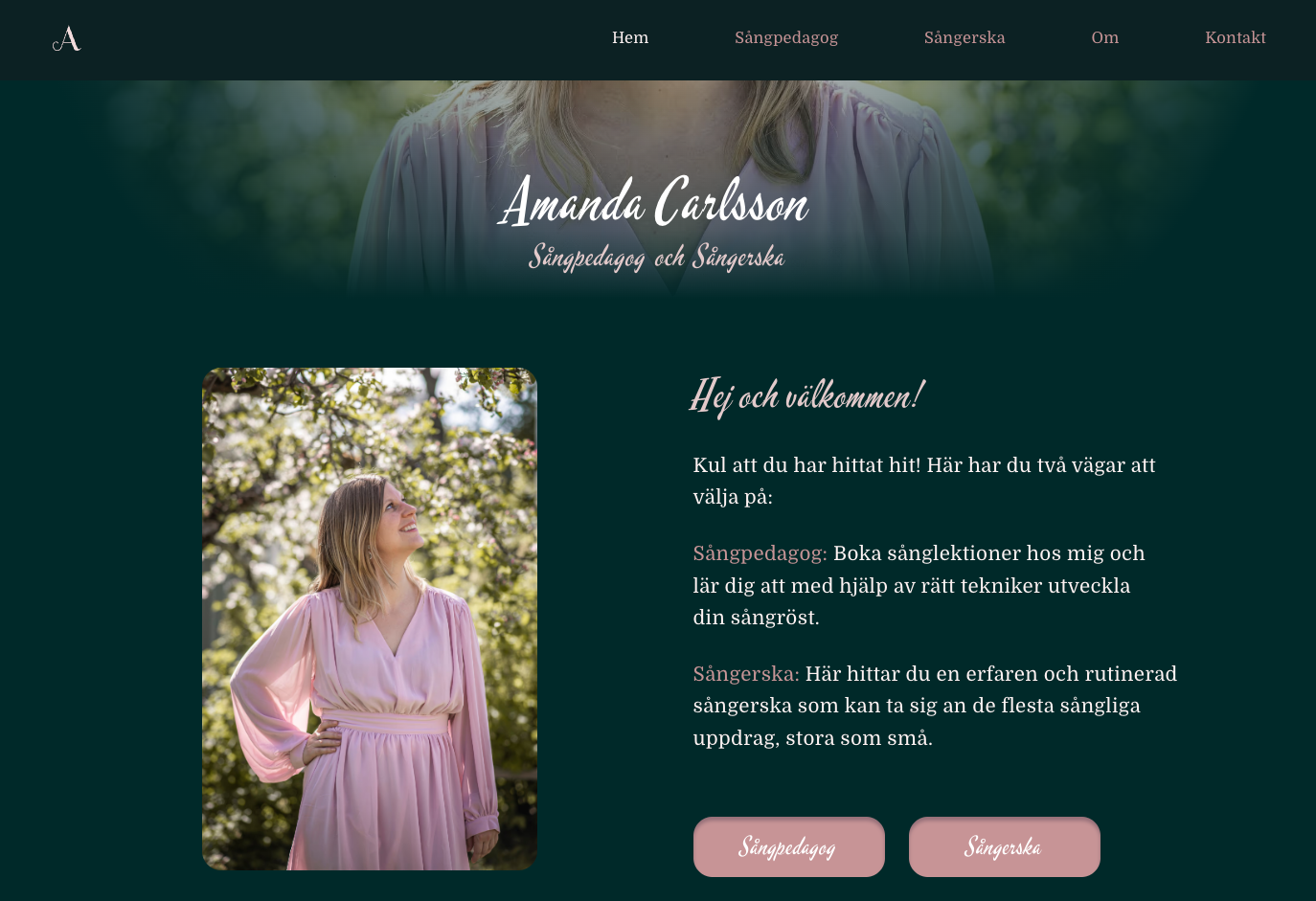 Amanda Carlsson website preview